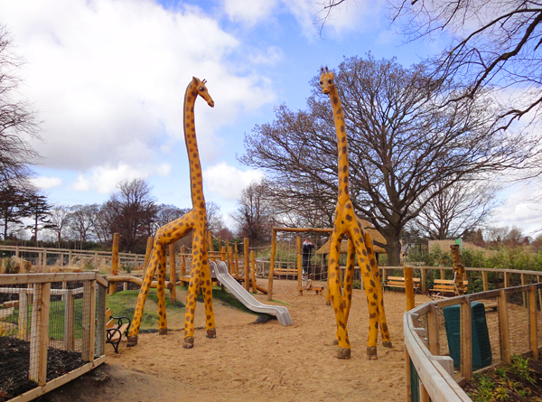 African Savanna, Play area for the Dublin Zoo - designed, supplied and installed by CPCL in 2009